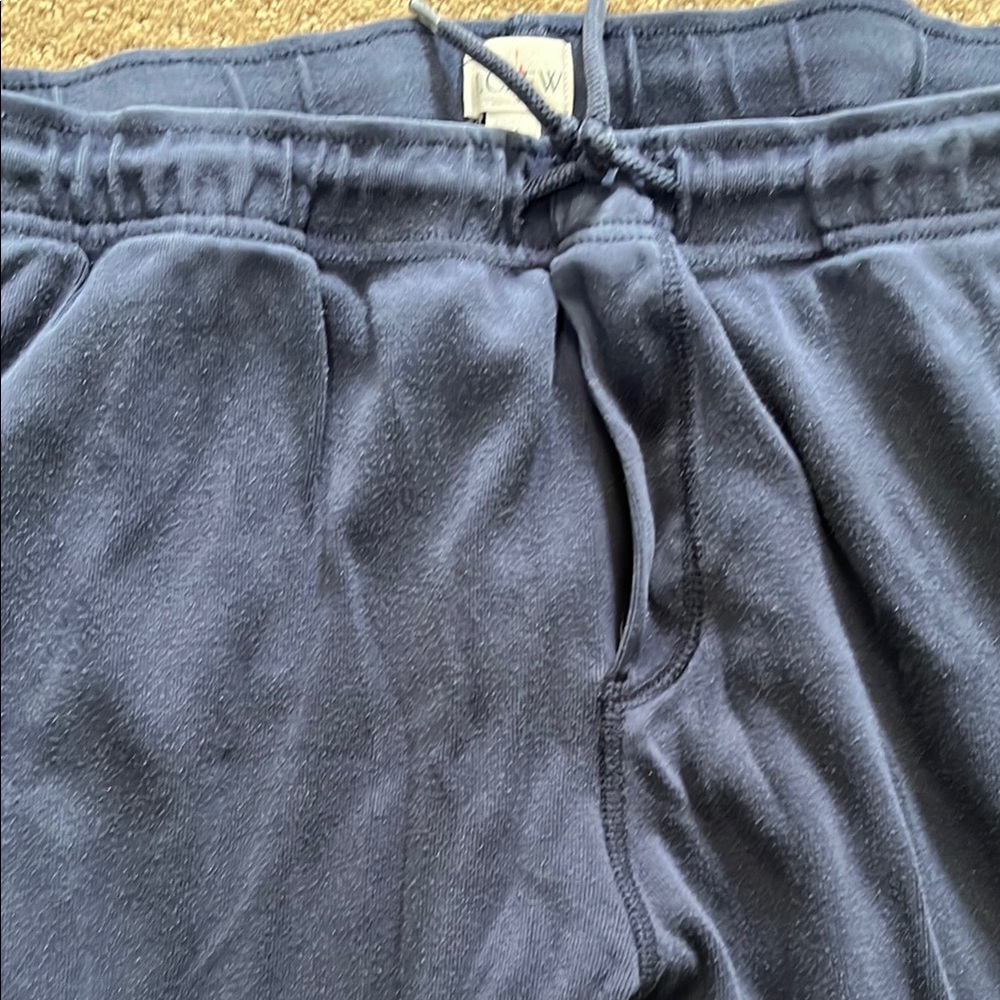 J. Crew Navy Sweatpants